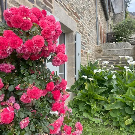 Maison De Charme Dans Le Site Classe De Brelevenez *
